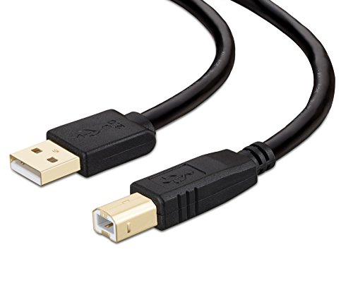 كابل طابعة NC XQIN 20 قدمًا ، كابل طابعة USB 2.0 من النوع A- ذكر إلى كابل B-Male للطابعة / الماسح الضوئي- مطلي بالذهب كابل طابعة NC XQIN 20 قدمًا ، كابل طابعة USB 2.0 من النوع A- ذكر إلى كابل B-Male للطابعة / الماسح الضوئي- مطلي بالذهب
