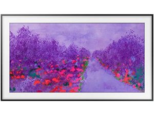 Samsung UN55LS03NAFXZA 55 "Class The Frame Premium 4K UHD Smart TV (2018)